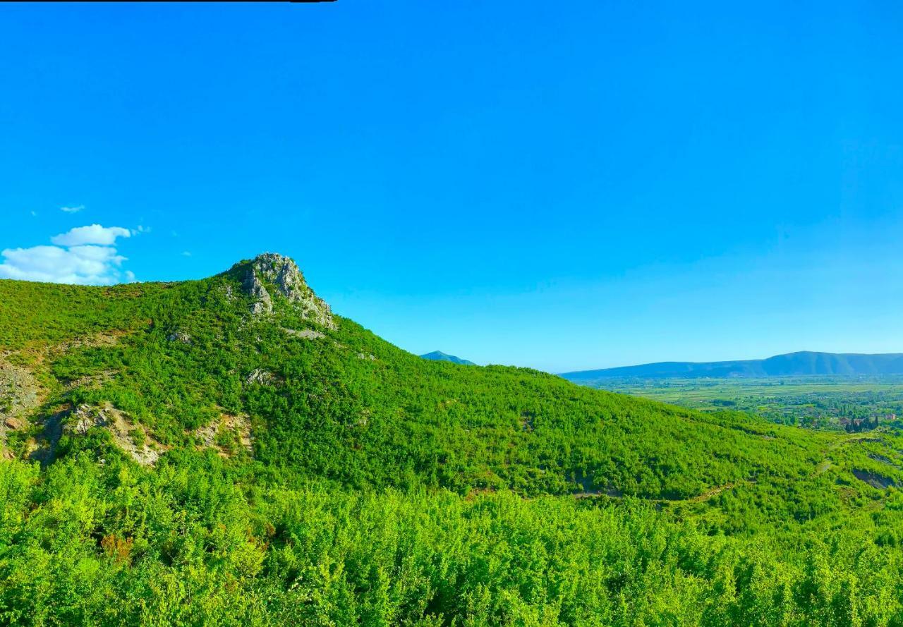 Hani I Leks Agroturizem Lezhë Exterior foto